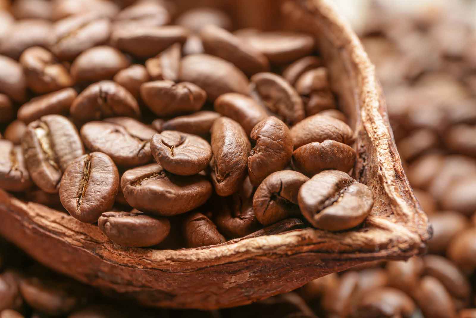 best coffee beans australia
